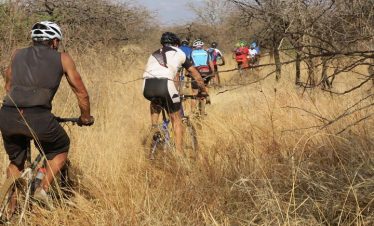 A group of cyclists navigating through a grassy trail in a natural setting.