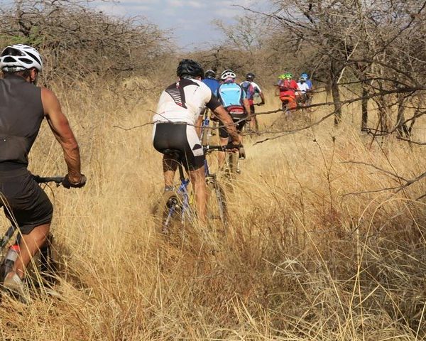 A group of cyclists navigating through a grassy trail in a natural setting.