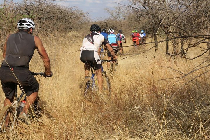 A group of cyclists navigating through a grassy trail in a natural setting.