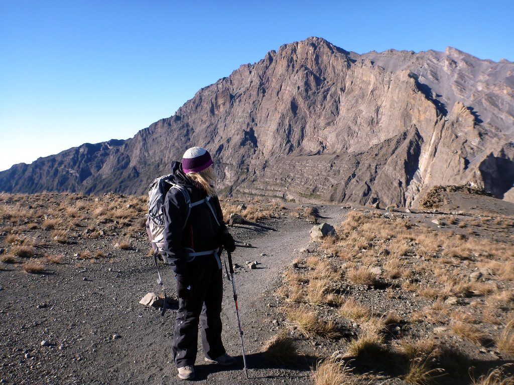 Hiker standing on a trail with a mountain in the background, wearing a backpack and using trekking poles.