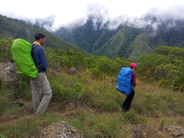 Two hikers wearing colorful backpacks walking through a grassy area with mountains in the background.