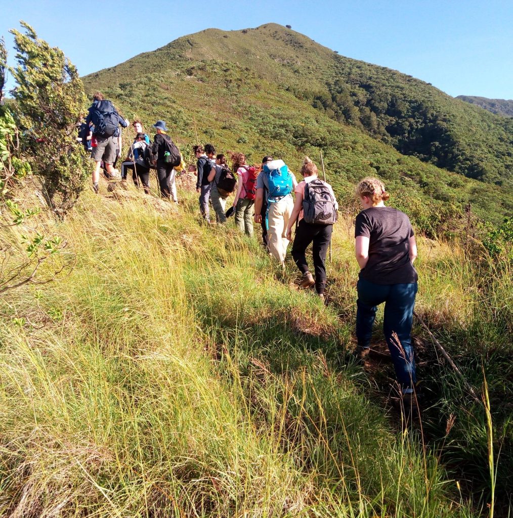 A group of hikers walking along a mountain trail surrounded by greenery and hills.