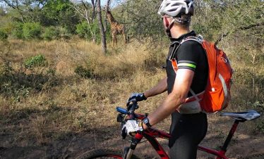 A mountain biker in a black outfit and orange backpack looking at a giraffe in a natural setting.