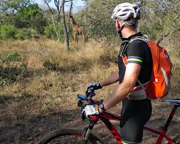 A mountain biker in a black outfit and orange backpack looking at a giraffe in a natural setting.