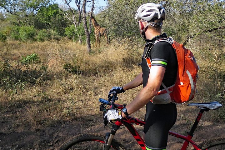 A mountain biker in a black outfit and orange backpack looking at a giraffe in a natural setting.