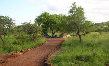 Two tents set up on a dirt path surrounded by grass and trees in a natural landscape.