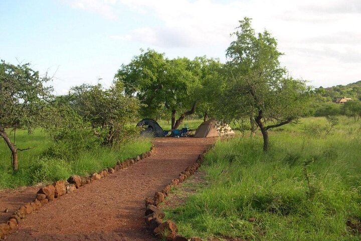 Two tents set up on a dirt path surrounded by grass and trees in a natural landscape.