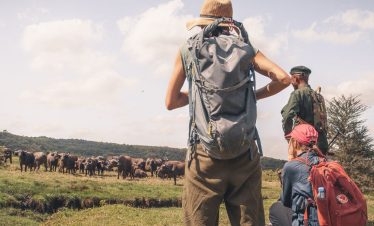 Hikers pause on a Tanzania safari as a buffalo herd crosses the grasslands of Arusha National Park under a bright sky.