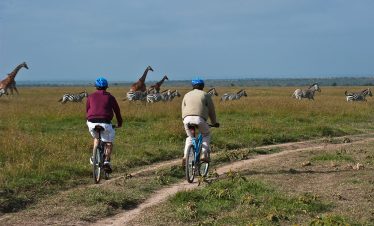 Two cyclists riding bicycles on a dirt path with giraffes and zebras in the background in Kilimanjaro National Park.