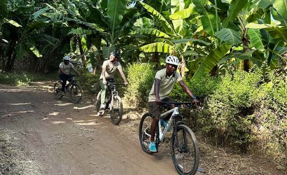 Three individuals riding bicycles along a dirt path surrounded by banana plants in Mto Wa Mbu.