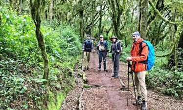 Trekking hikers walk a narrow path under lush green canopy in Marangu Forest, carrying backpacks and using trekking poles.