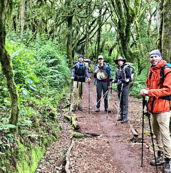 Trekking hikers walk a narrow path under lush green canopy in Marangu Forest, carrying backpacks and using trekking poles.