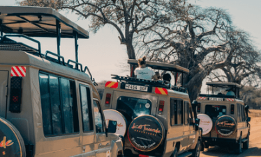 Mufasa safari lineup with beige open-roof vehicles on a savannah road, Kilitwende Adventures branding visible on spare tires