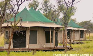 Narudi tented camp shows spacious safari tents with green roofs, beige walls and raised wooden decks set among trees and grassland.