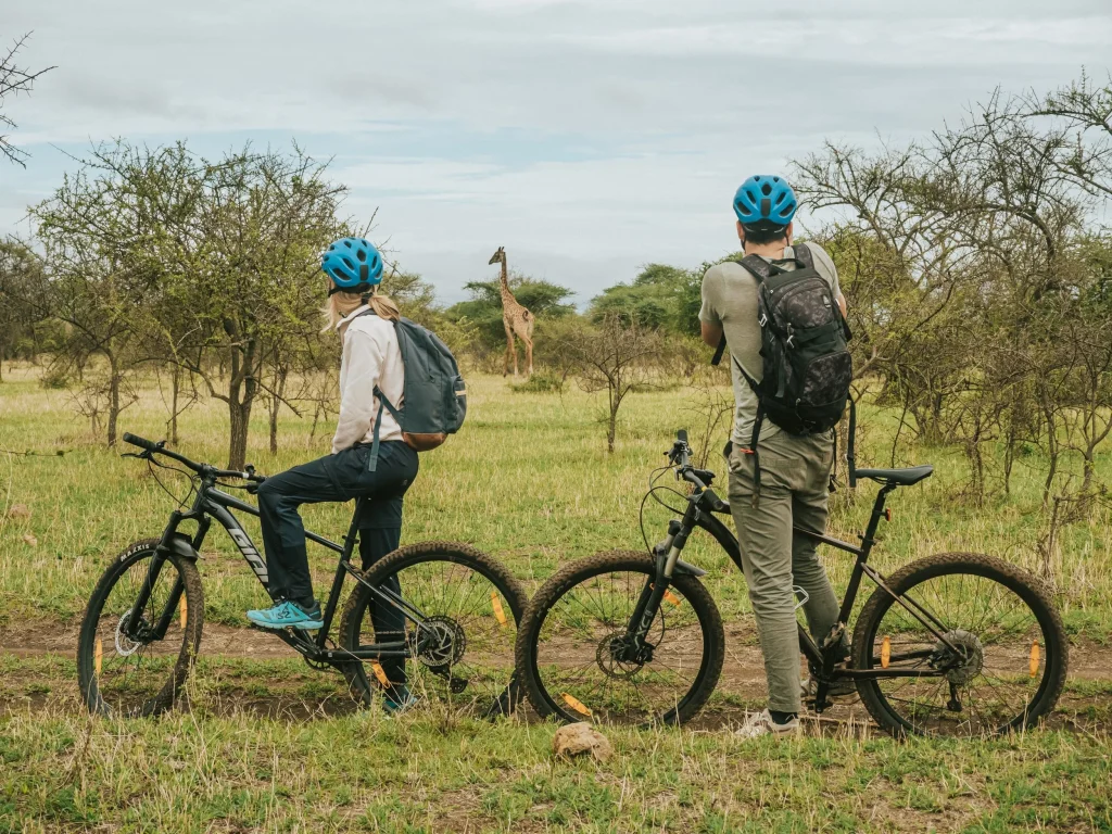Two cyclists wearing helmets stand beside their mountain bikes while observing a giraffe in a grassy landscape.