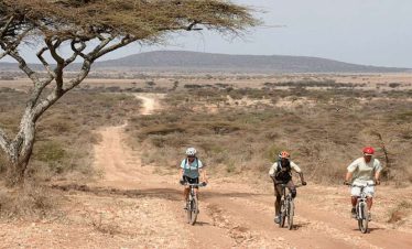 Three cyclists riding on a dirt path surrounded by sparse vegetation in Tanzania.