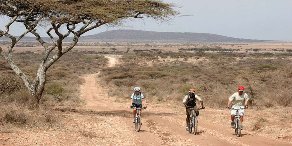 Three cyclists riding on a dirt path surrounded by sparse vegetation in Tanzania.