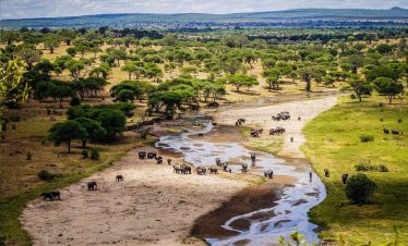 A herd of elephants crosses the Tarangire River through Tarangire National Park, surrounded by acacia trees and open savanna beneath cloudy skies.