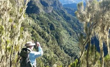 A hiker in a wide-brim hat with a large backpack stands before a green mountainous valley, sunlit cliffs and dense forested slopes.