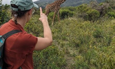 A giraffe stands in grassy hills while a traveler in a green cap and rust shirt gestures toward it during an outdoor safari.