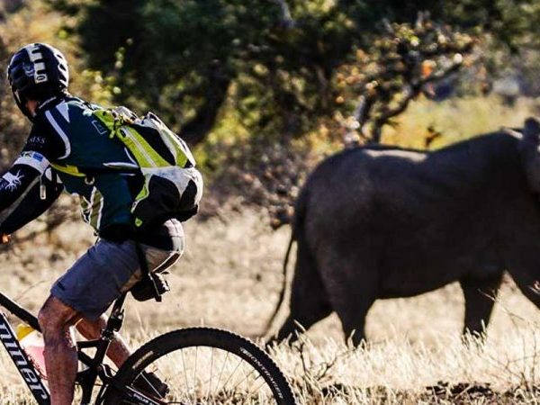 A mountain biker riding a bicycle with an elephant walking in the background in a natural setting.