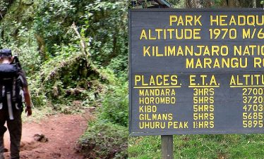 Hikers walk along a forest path beside a sign reading PARK HEADQUARTERS for Kilimanjaro National Park with altitude details in yellow on dark background.
