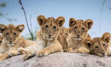 Tanzania destinations
