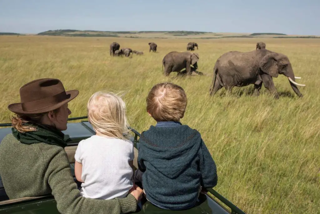 Tanzania Safari Trip Types | KiliTwende Adventures
