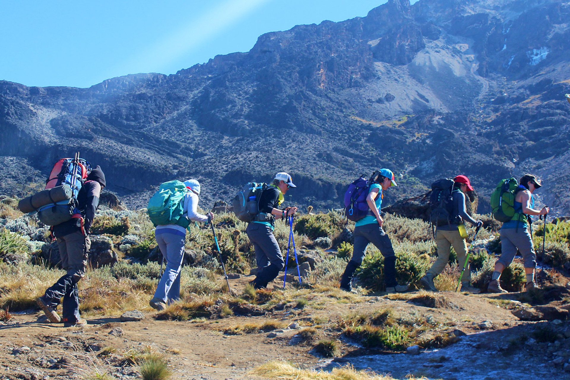 Kilimanjaro Trek 8 Days Lemosho Route