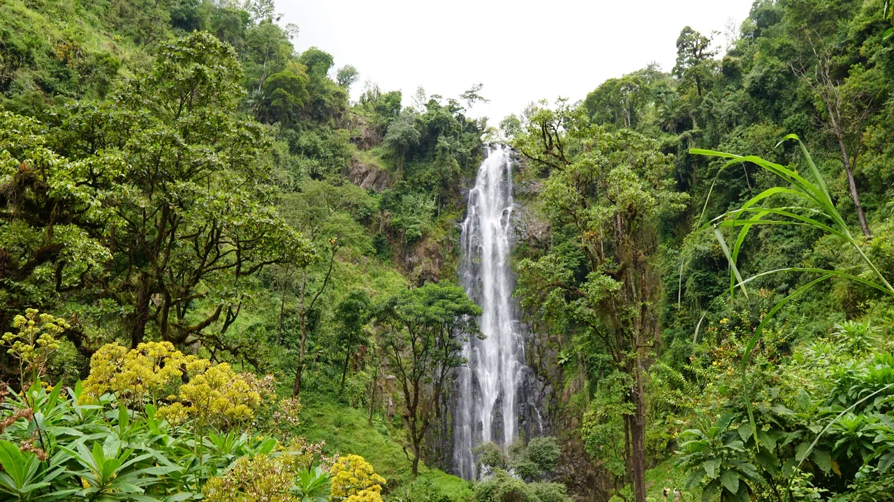 Materuni Waterfalls Shibwe Hike Day Trip